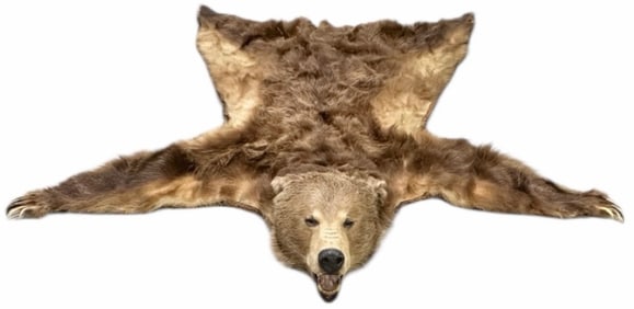 Full Body Grizzly Bear Rug