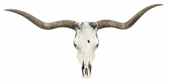 Rustic Steer Skull & Horns Mount