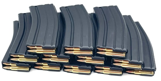 360 Rounds Lake City .223 Caliber in Magazines.