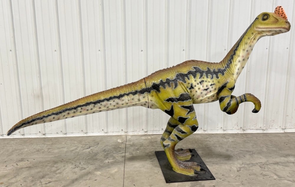 7ft Life Size Dilong Paradoxus Fiberglass Dinosaur Statue (1 of 14)