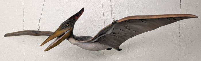 5ft Pterodactyl Dinosaur Fiberglass Ceiling Mount