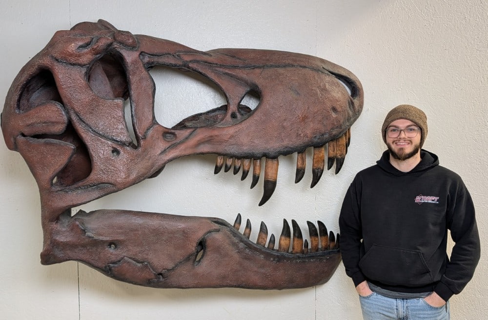 Giant T-Rex Tyrannosaurus Rex Dinosaur Skull Wall Mount (1 of 16)