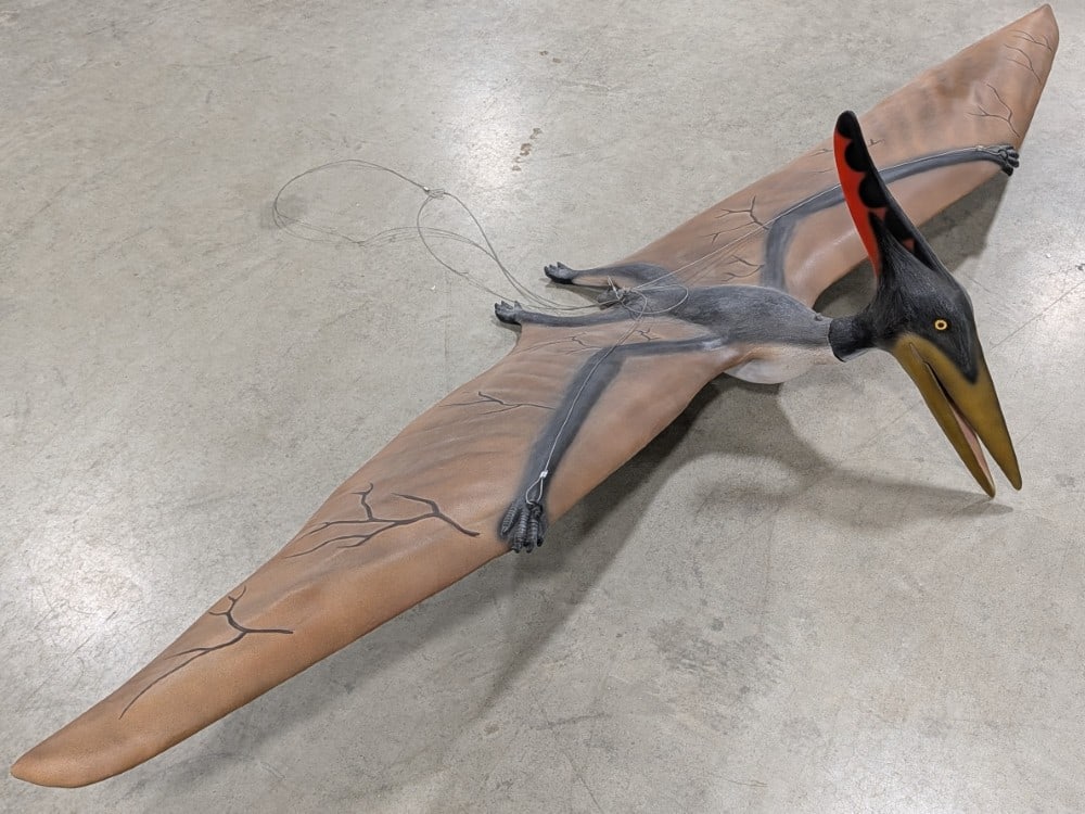 Giant 10ft Life Size Pterodactyl Dinosaur Fiberglass Ceiling Mount Prop (1 of 15)