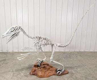 8ft Life Size Velociraptor Dinosaur Skeleton Fiberglass Display Statue