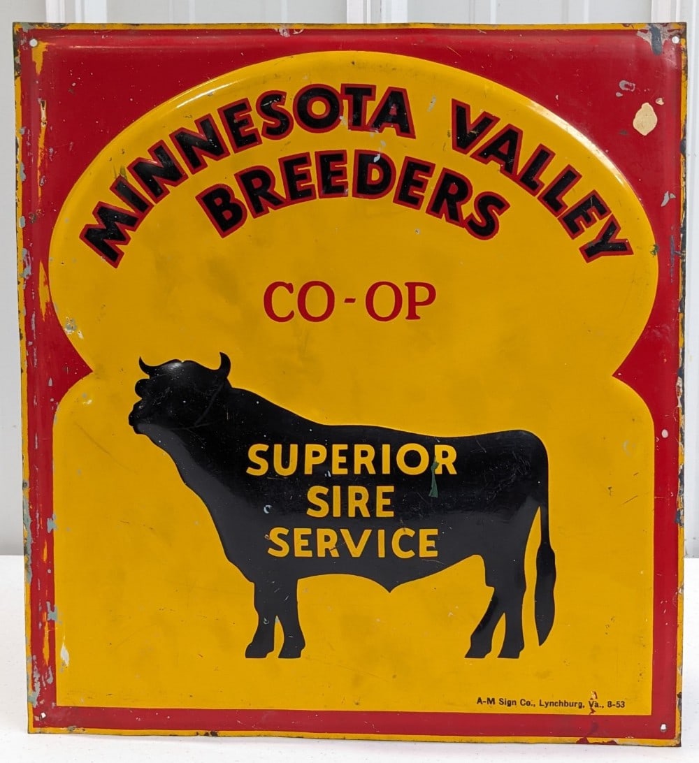 Vintage SST Minnesota Valley Breeders Embossed Advertising Sign / Bull Graphic: Vintage single sided embossed metal Minnesota Valley Breeders Superior Sire Service advertising sign. has paint loss, over paint on edges, scratches, and other wear from use and age. Displays well. Me