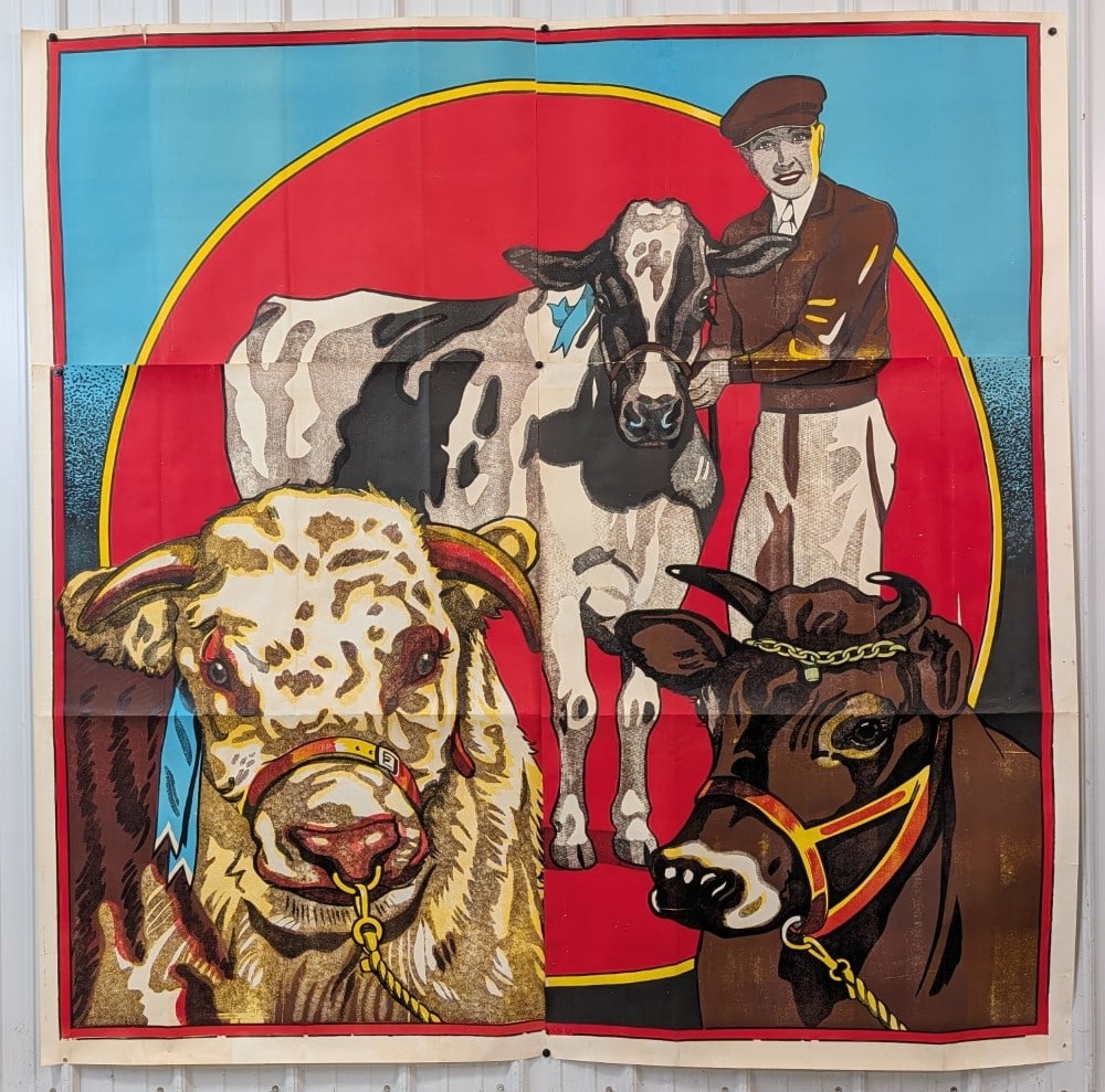 Giant Nearly 7ft Early Cattle Dairy Show 4-Piece Fair Banner / Poster (1 of 20)