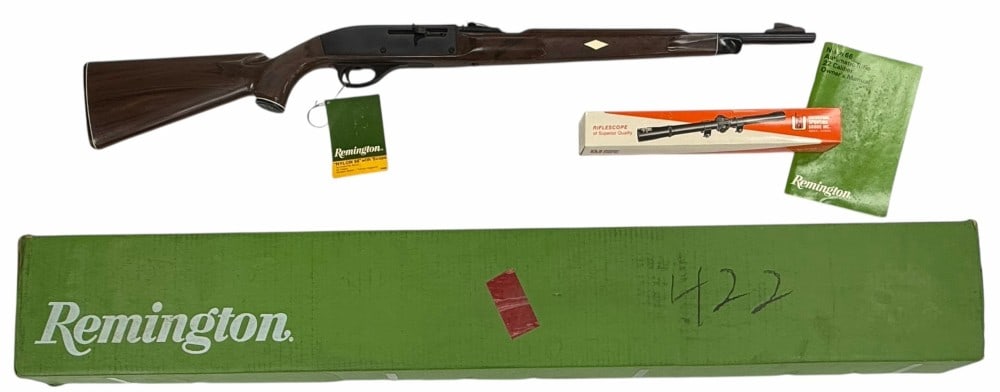 Remington Nylon 66 MB .22 LR Semi Automatic Rifle in Box (1 of 20)