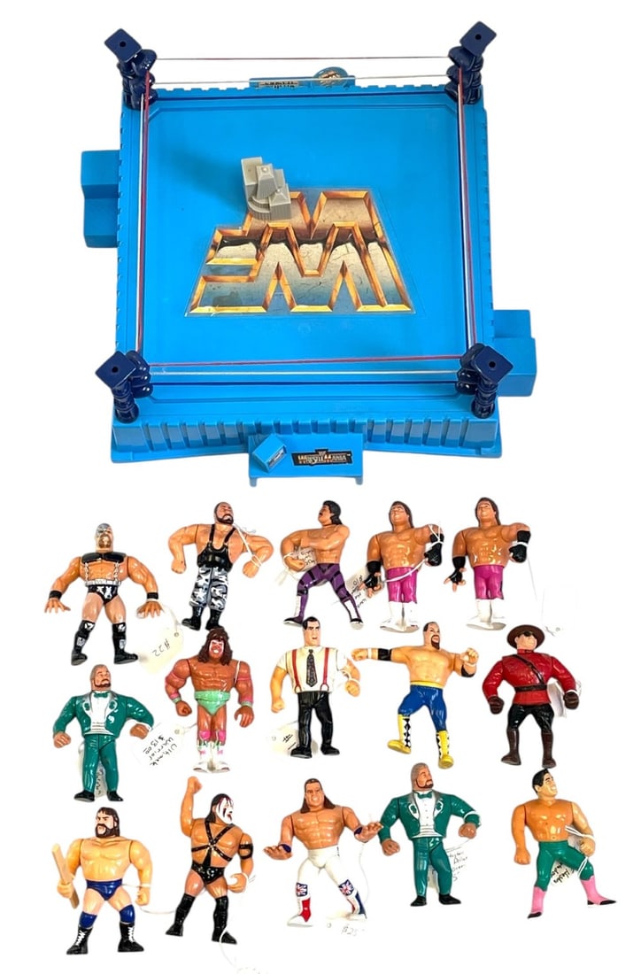 (15) Wrestling Figures and Wrestle Mania Ring (1 of 7)