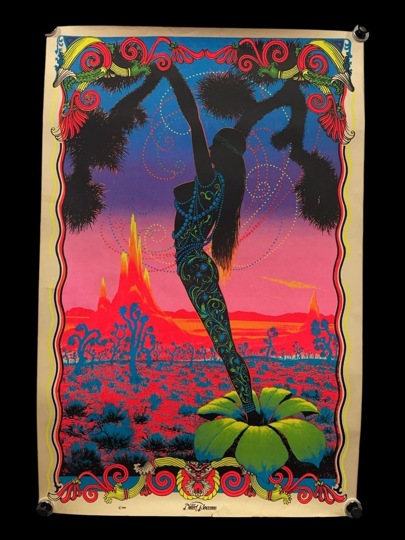 1970 ?Desert Blossom? Psychedelic Blacklight Poster by Bunnell (1 of 18)
