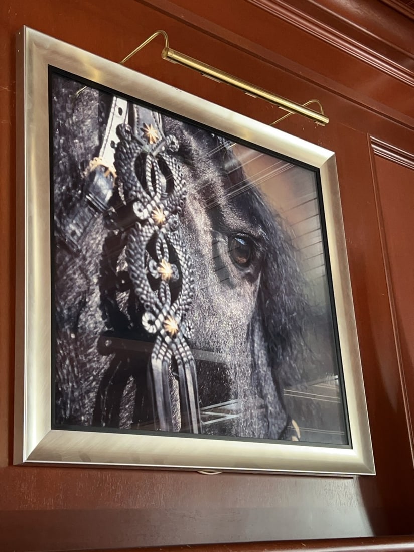 Framed Equestrian Print - 2
