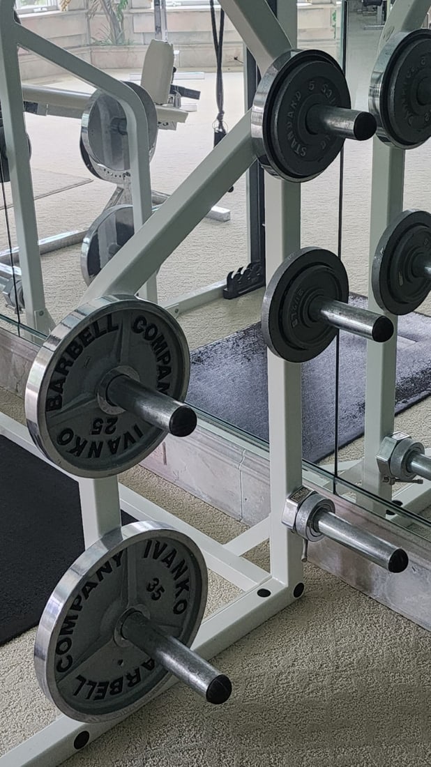 Cybex Smith Press Machine - 3