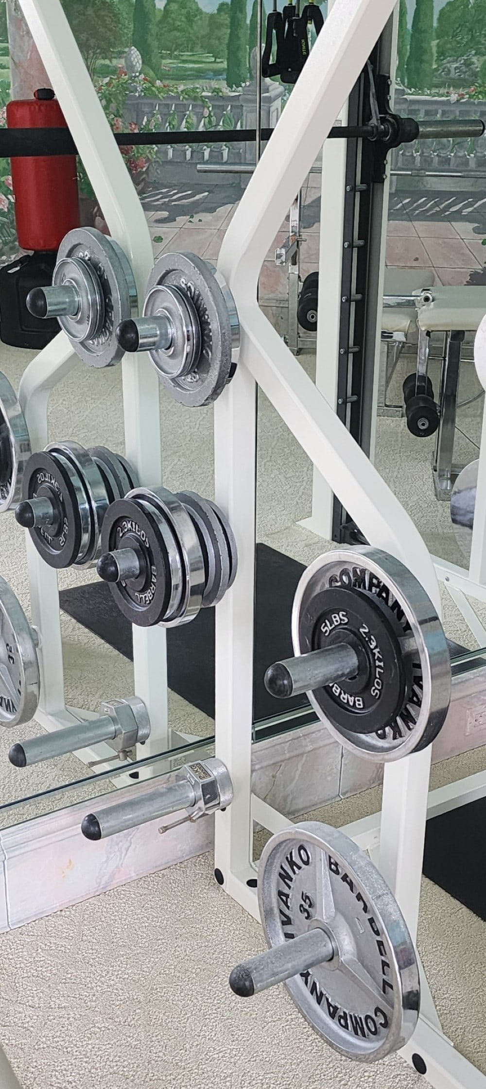 Cybex Smith Press Machine - 4