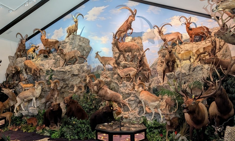 Entire Taxidermy Habitat Rock Wall: Entire Taxidermy Habitat Rock Wall. This is a massive section of faux rock that costs hundreds for even small panels. The craftsmanship of this rock is very well done with great coloration and details