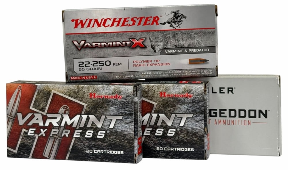 80 Rounds Winchester, Nosler & Hornady .22-250 Rifle Ammo in Boxes: 80 Rounds Winchester, Nosler & Hornady .22-250 Rifle Ammo in Boxes.? 40 rounds Hornady varmint express 50 grain. 20 rounds Winchester varmint-X 55 grain.? 20 rounds Nosler varmint 55 grain.? Total of 