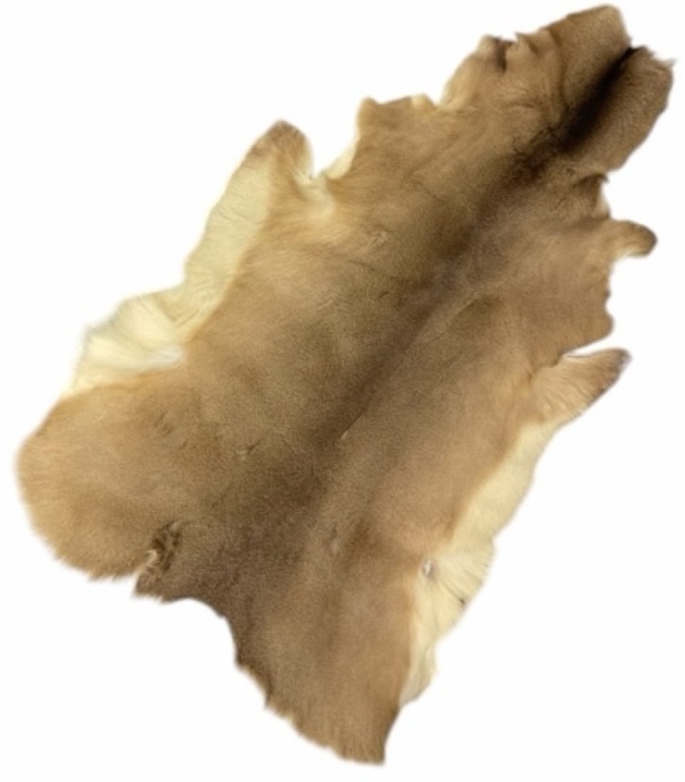 Tanned White Tail Deer Hide (1 of 8)