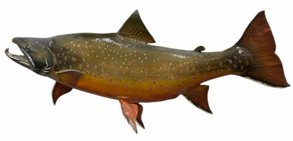 34 Inch Brook Trout Fish Mount (1 of 7)