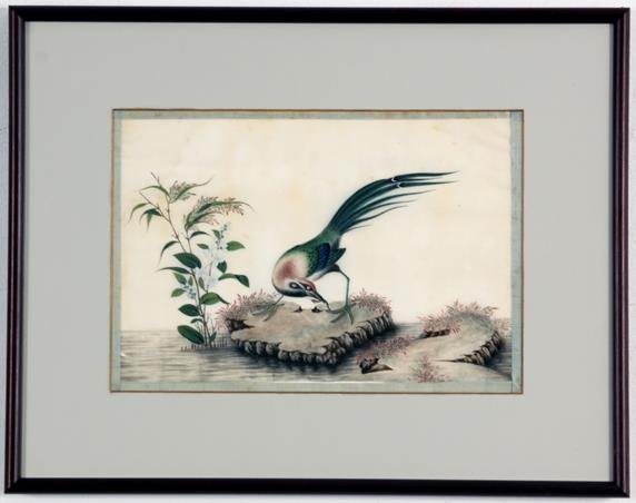 Chinese Rice Pith Paper Watercolor: Chinese Rice Pith Paper Watercolor: A bird with a long green tail stands on rock in the middle of a stream in this highly detailed Chinese watercolor painting. Unsigned. Displayed in wood frame with l