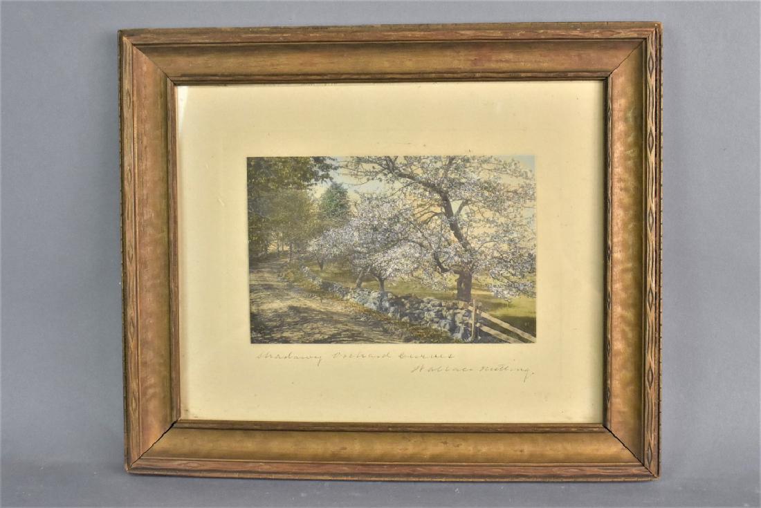 Wallace Nutting Signed Print