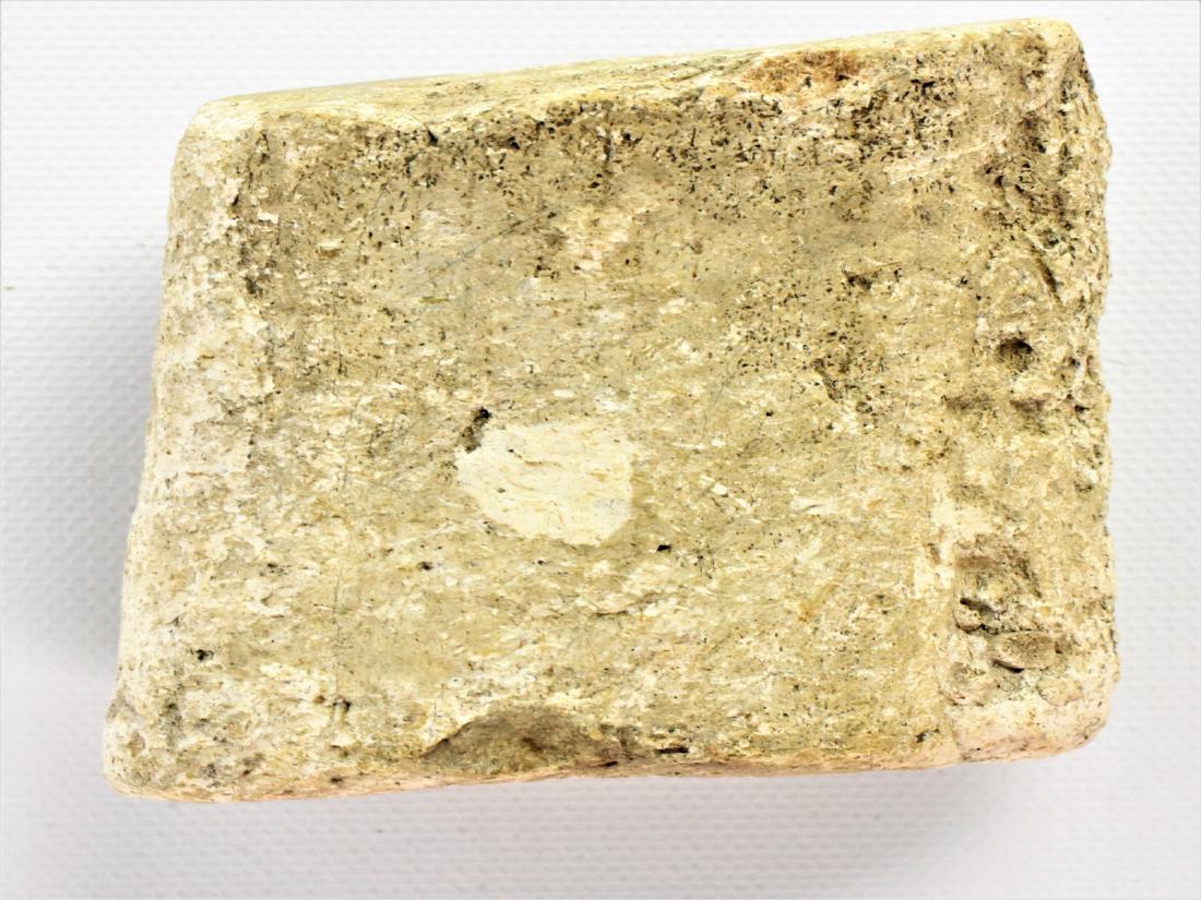 Dinoasur Bone: Dinoasur Bone, possibly rib, Local Lehigh Collector