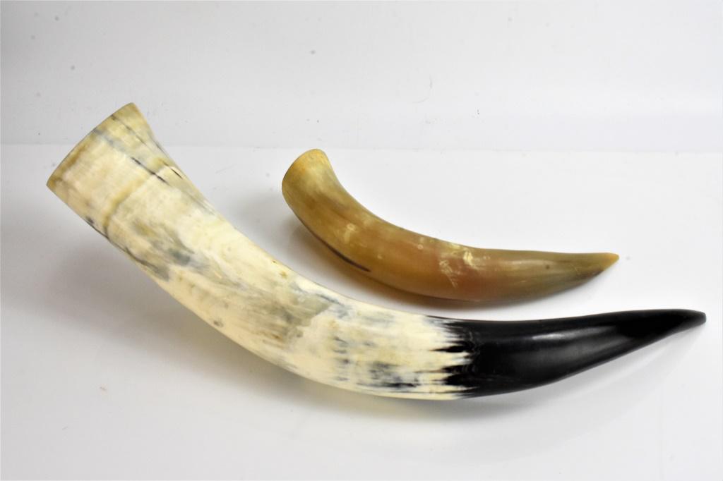 German Horn Drinking Cup Grouping: Includes 2 horns, tallest measures approx 22" high.