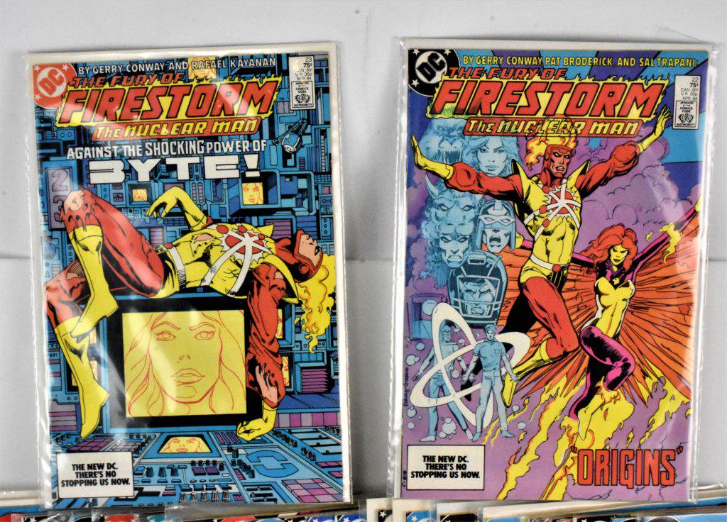 Fury of Firestorm 1982 Series Grouping (1 of 4)