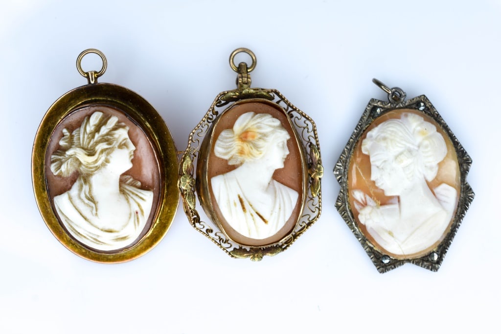 3 Shell Cameos (1 of 2)