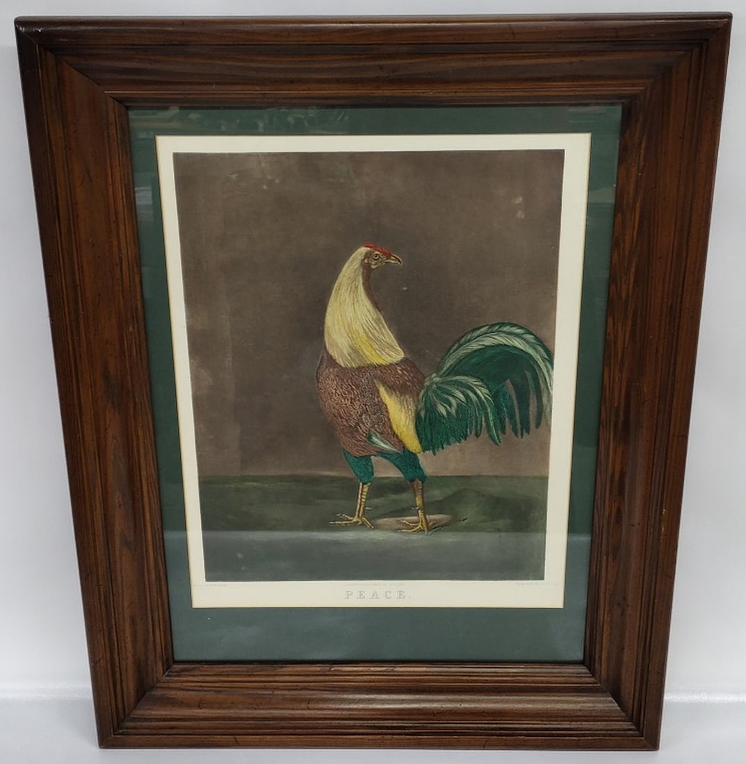 Framed Print Of Rooster By C. Turner (1 of 6)