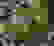 item-14437454=3