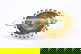 item-208531051=5