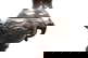 item-208695348=5