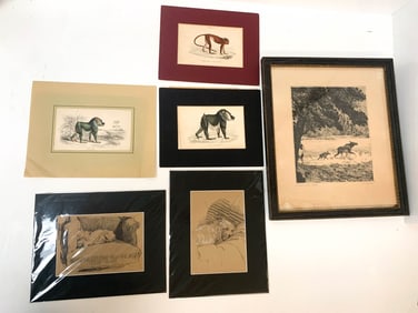 Animal Prints & Etchings
