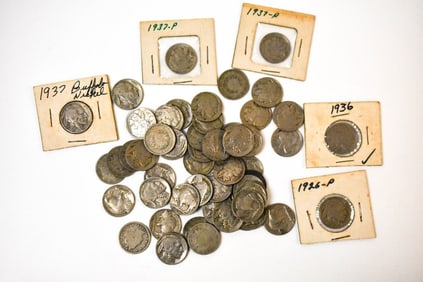 V Buffalo & Jefferson Nickels