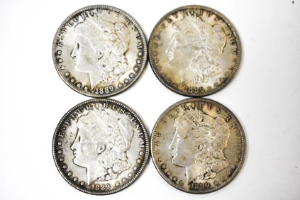 Morgan Silver Dollar Lot