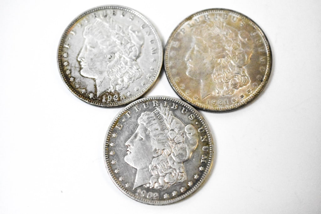 Morgan Silver Dollar Lot (1 of 8)