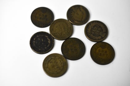 8 Indian Head Pennies