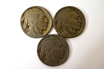 1913 p d s Line Type Buffalo Nickels