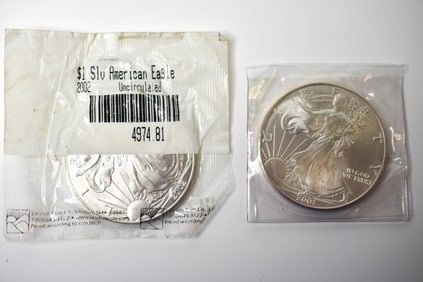 2001 2002 Bullion American Silver Eagles
