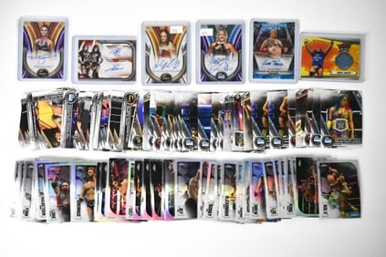 WWE NXT Wrestling Cards