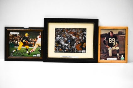 Earl Morrall Gino Marketti Paul Hornung