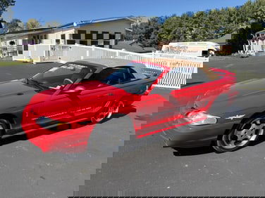 1994 Ford Mustang SVT Cobra Pace Car