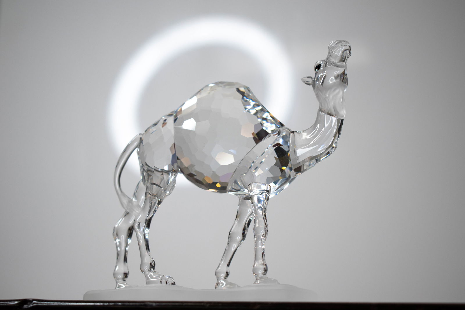 SWAROVSKI CAMEL 247683 - 10