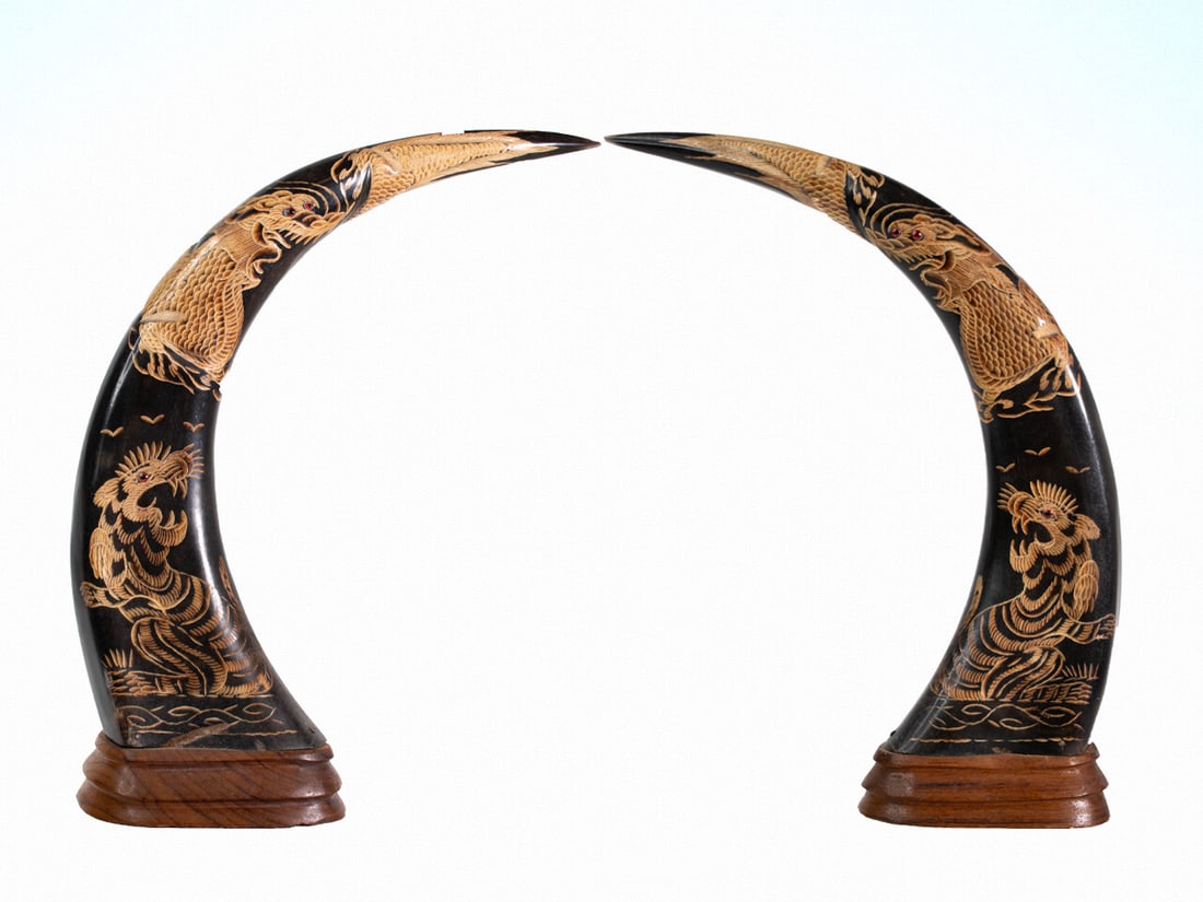 Chinese Carved Water Buffalo Horns: A fine and large pair of Chinese carved horns. Height 13.5" ****We Offer In-House Shipping*** ****We Offer In-House Shipping***