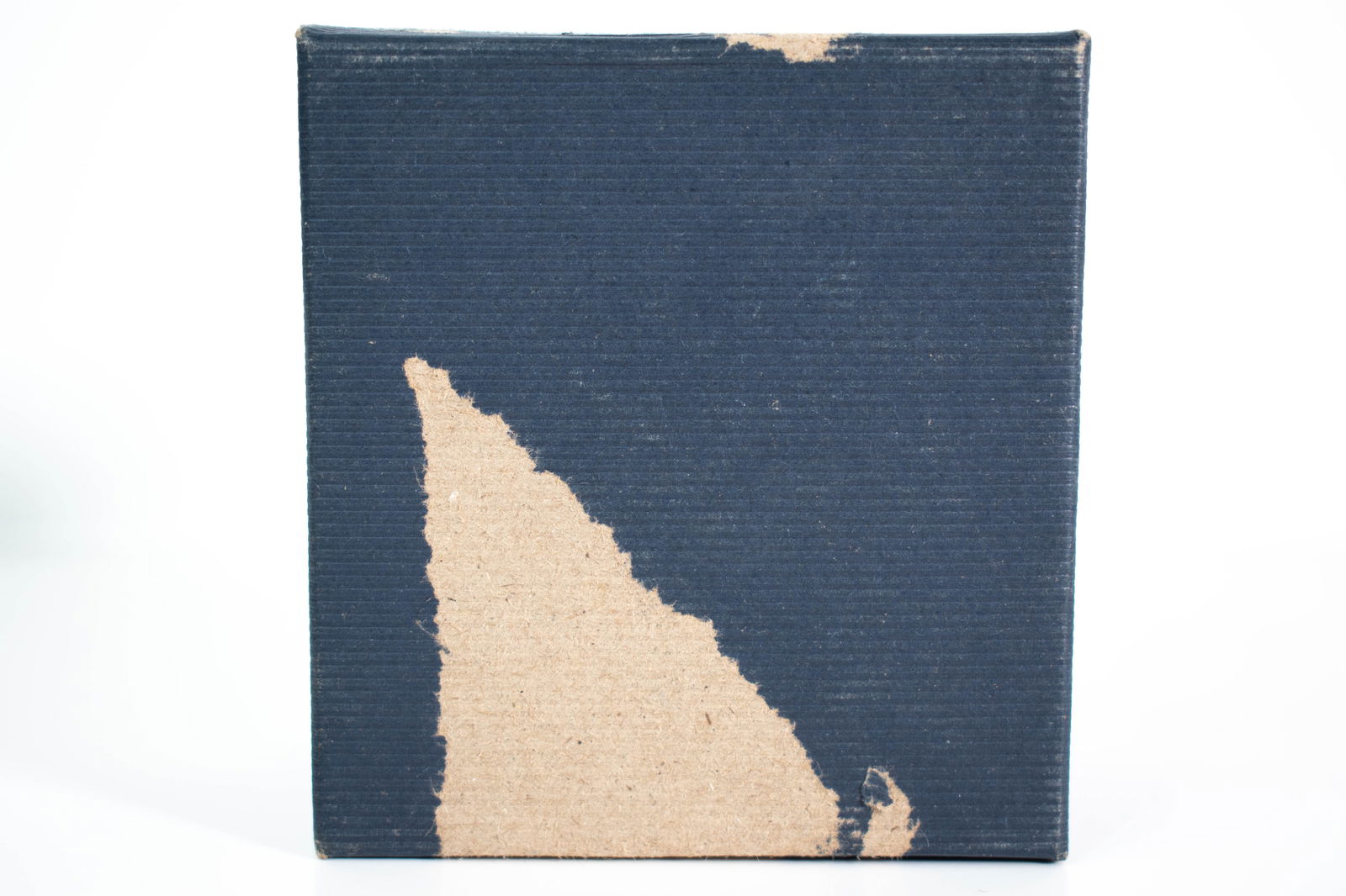 Chinese Teacup (Signed) - 8