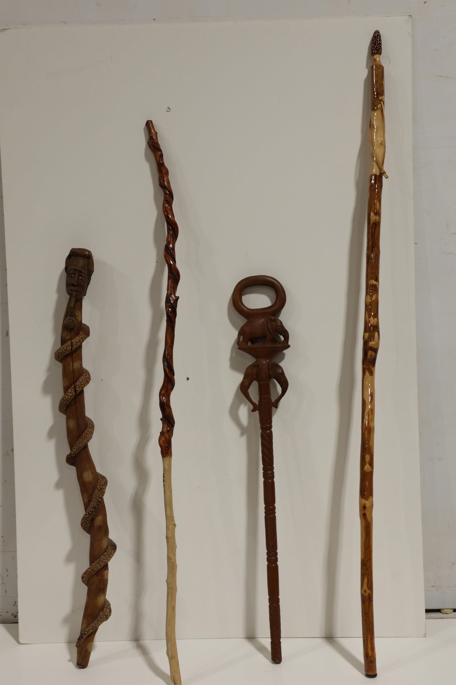 Walking Sticks - 10