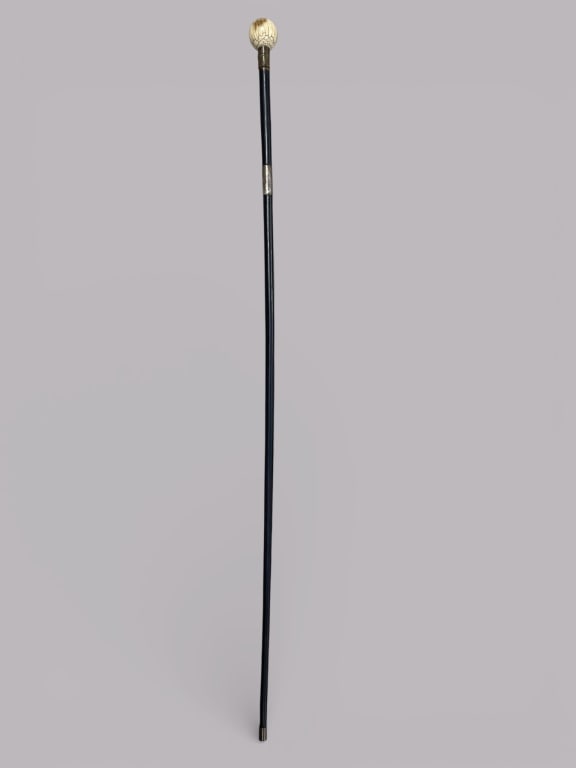 Antique CSA Bone Handled Walking Stick: Black walking stick featuring a round bone knob handle 0r (carved natural material), with visible structural lines. Brass elements include an original CSA plate on the shaft and a textured ferrule