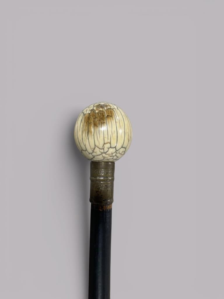 Antique CSA Bone Handled Walking Stick - 2
