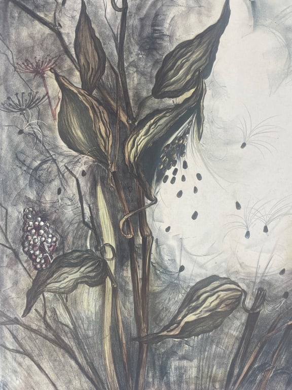 Botanical Etching - 3