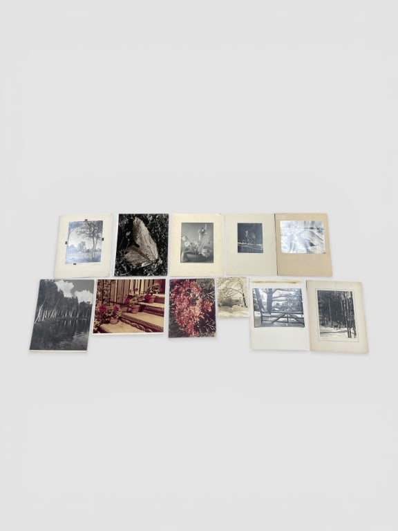 Silver Gelatin Photographs (1 of 4)