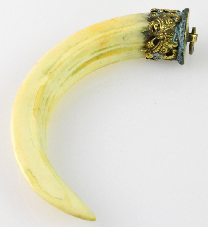 Large Mongolian Wild Boars Tooth Amulet: Large Mongolian wild boars tooth amulet with detailed plant life relief mid 19th century about 4 3/4 high"