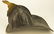 Gratacap High Eagle Leather Fire Helmet & Parade Belt - 3